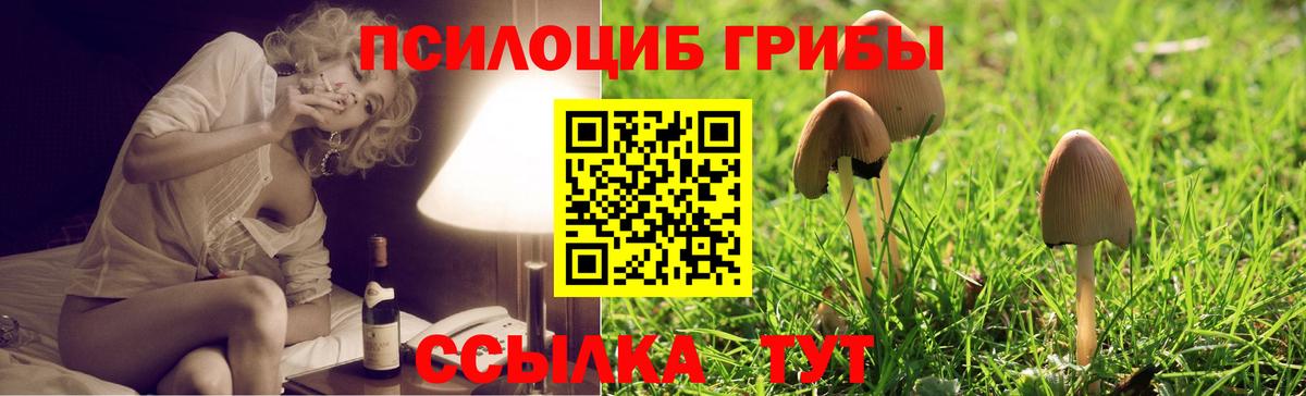 Псилоцибиновые грибы MAGIC MUSHROOMS  Вход с VPN  Псилоцибиновые грибы ЛСД  Касимов 