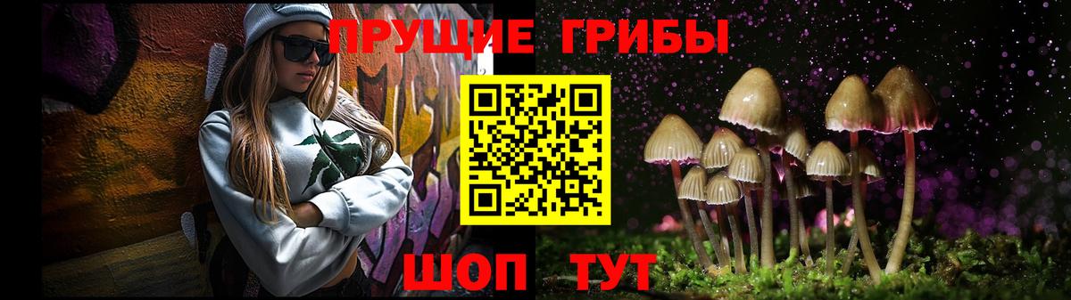 Галлюциногенные грибы мицелий Касимов